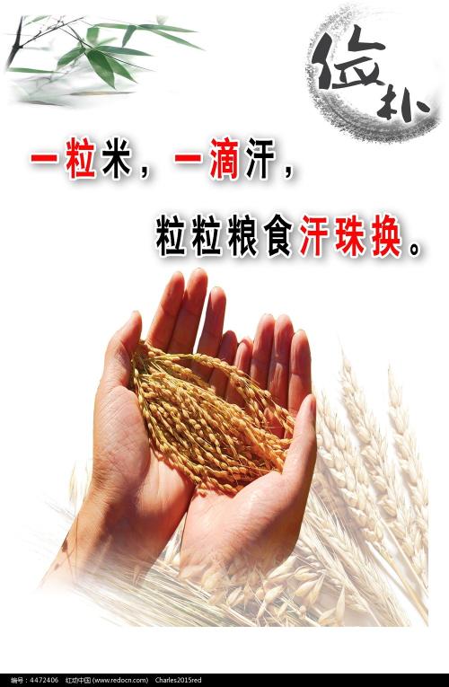 费城代办证件